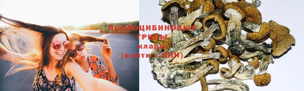 скорость mdpv Абаза