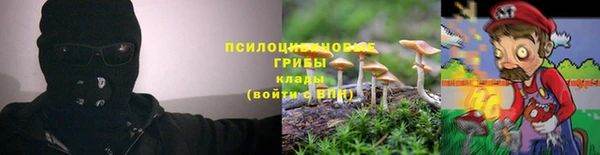ECSTASY Алексин
