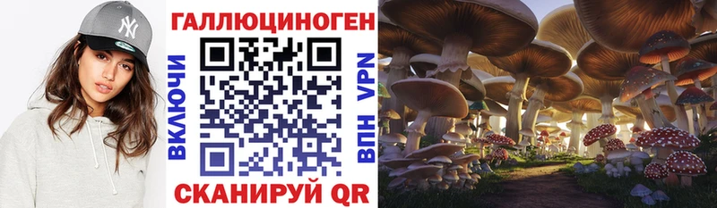 Галлюциногенные грибы Psilocybe  Ржев 